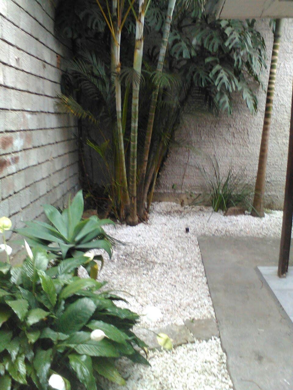 Conjunto Comercial-Sala à venda com 6 quartos, 647m² - Foto 25
