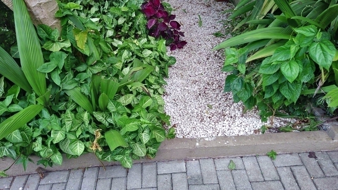 Casa, 6 quartos, 253 m² - Foto 11