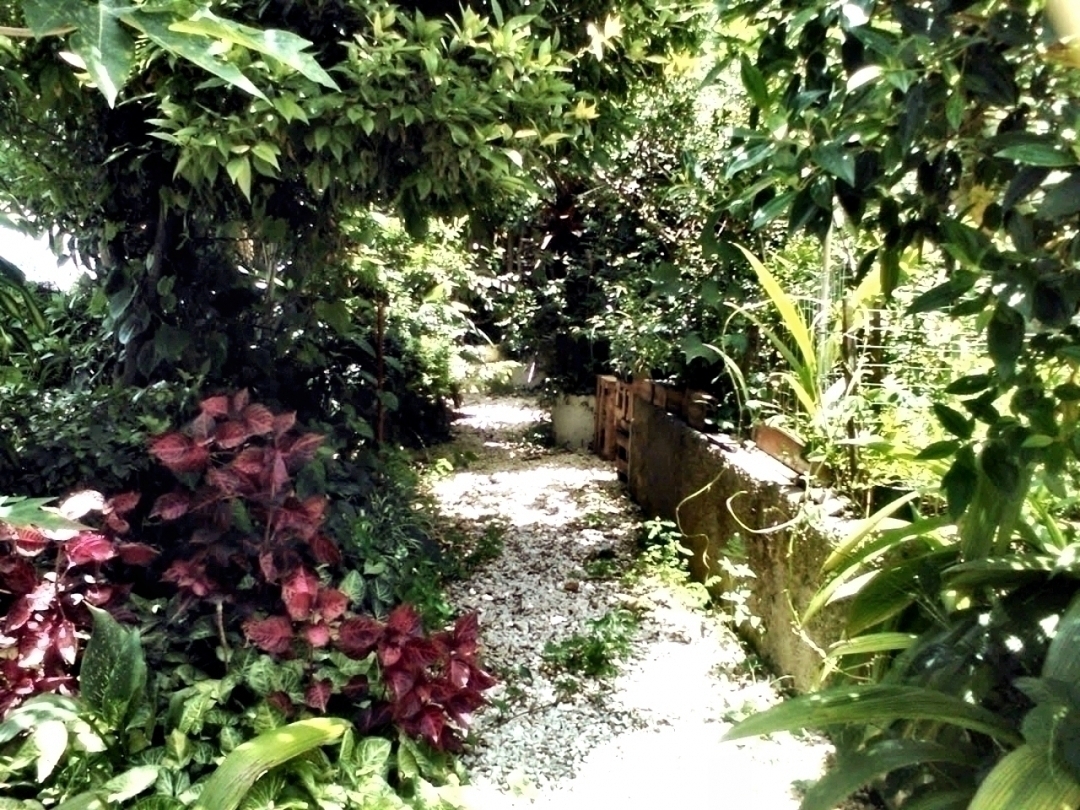 Casa, 6 quartos, 253 m² - Foto 16