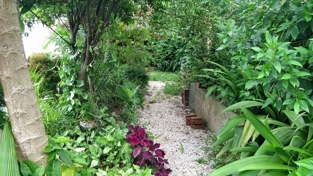 Casa, 6 quartos, 253 m² - Foto 10