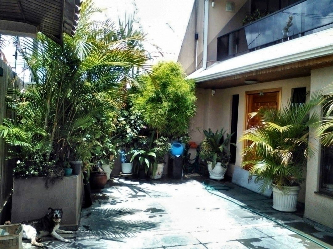 Casa, 6 quartos, 253 m² - Foto 14