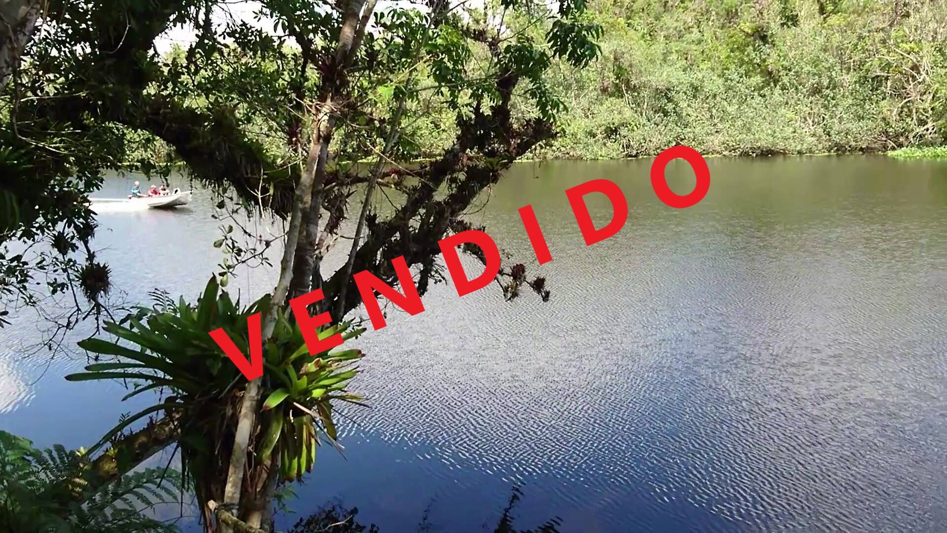 Terreno, 1037 m² - Foto 1