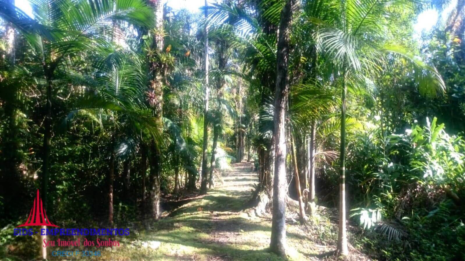 Terreno, 2 hectares - Foto 2