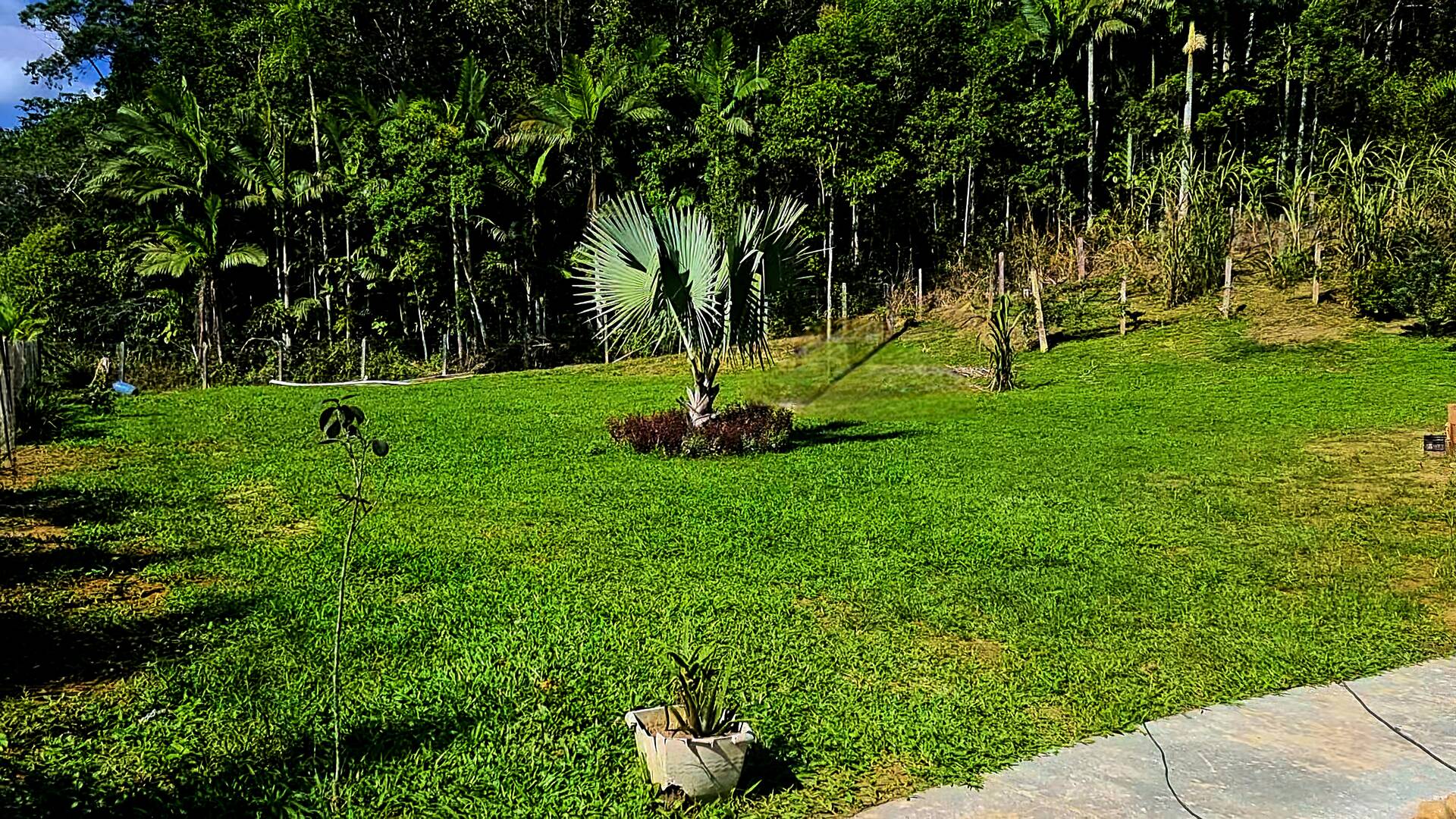 Chácara à venda com 3 quartos, 24500m² - Foto 6