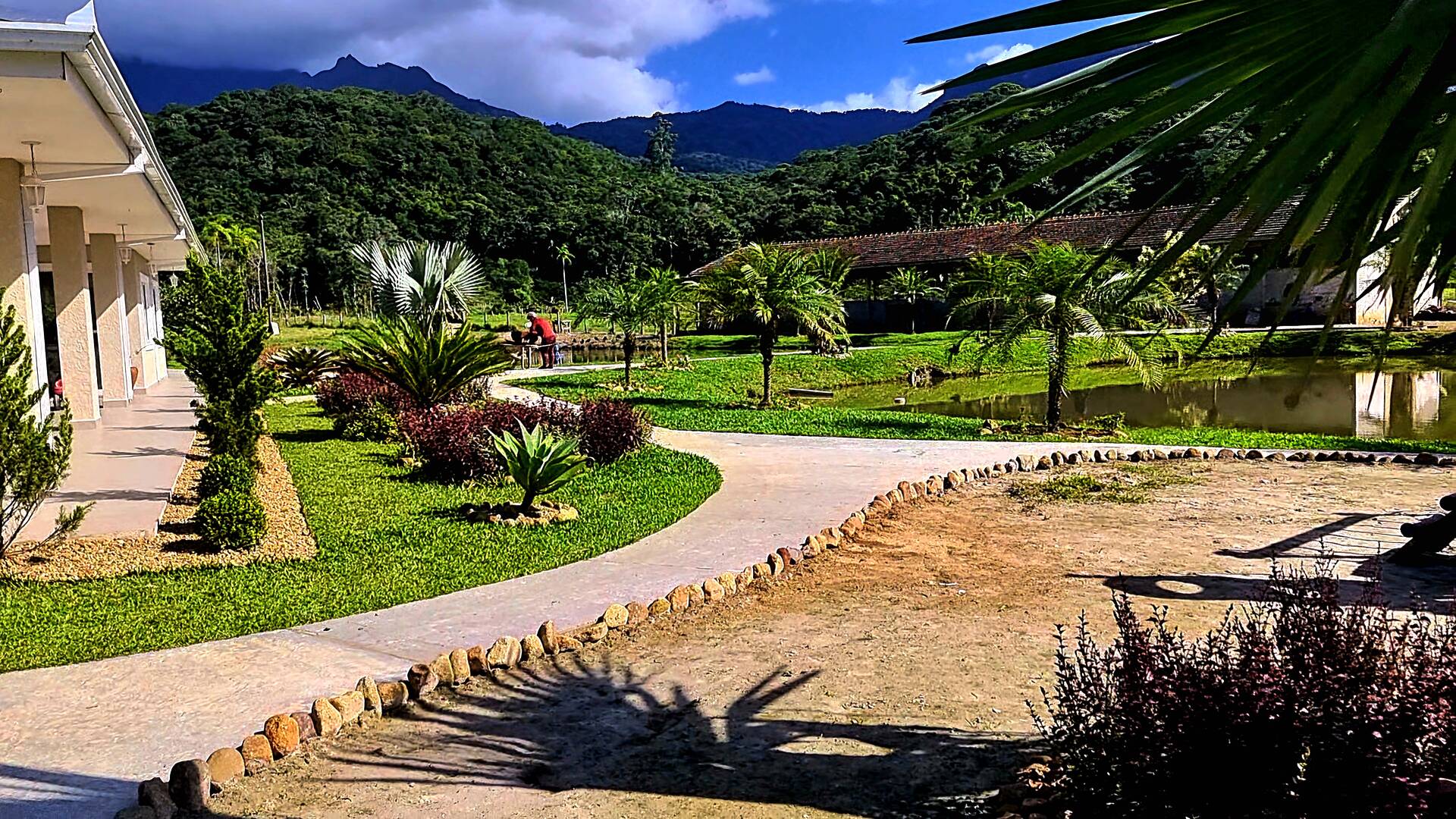Chácara à venda com 3 quartos, 24500m² - Foto 9