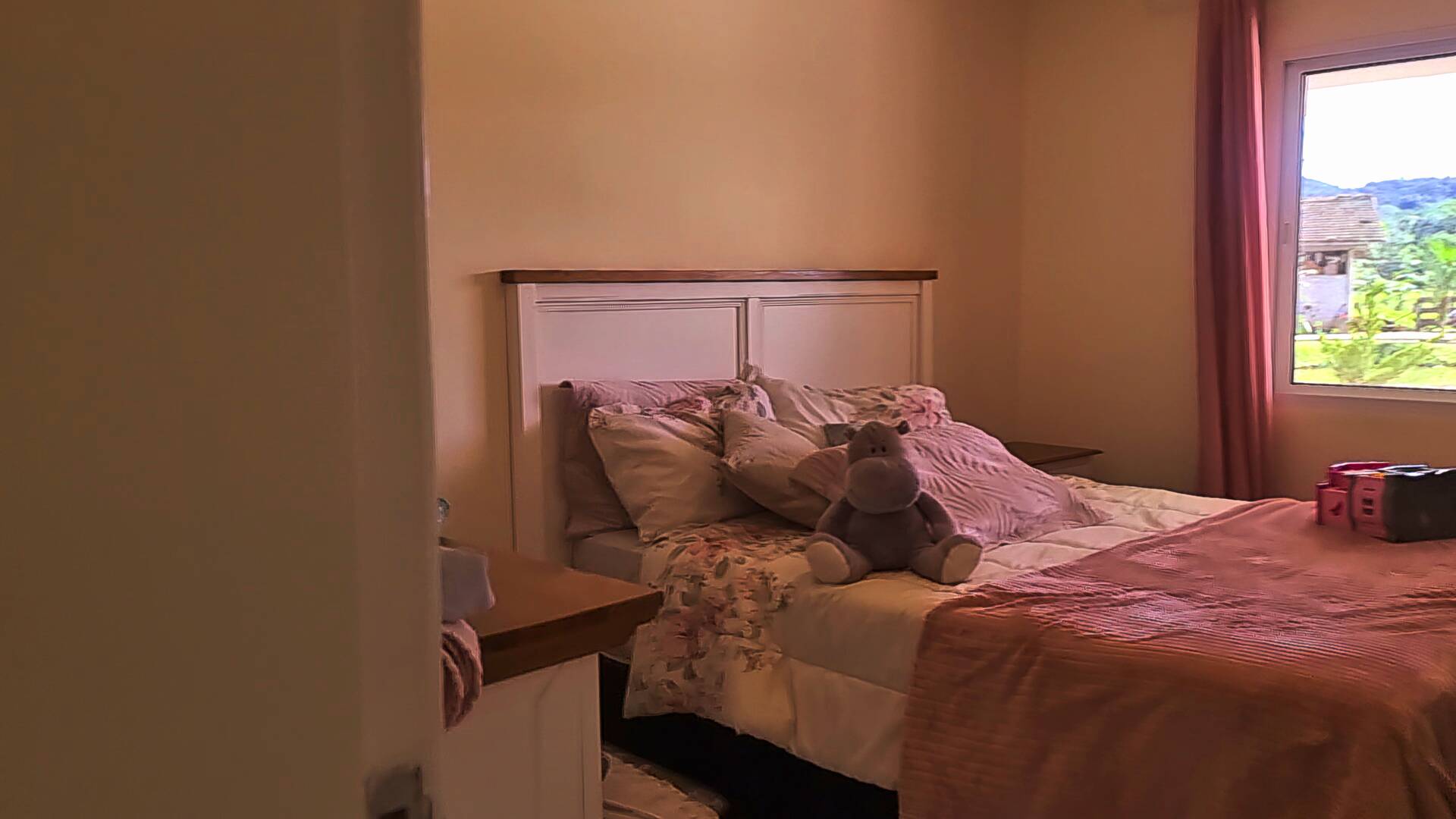 Chácara à venda com 3 quartos, 24500m² - Foto 32