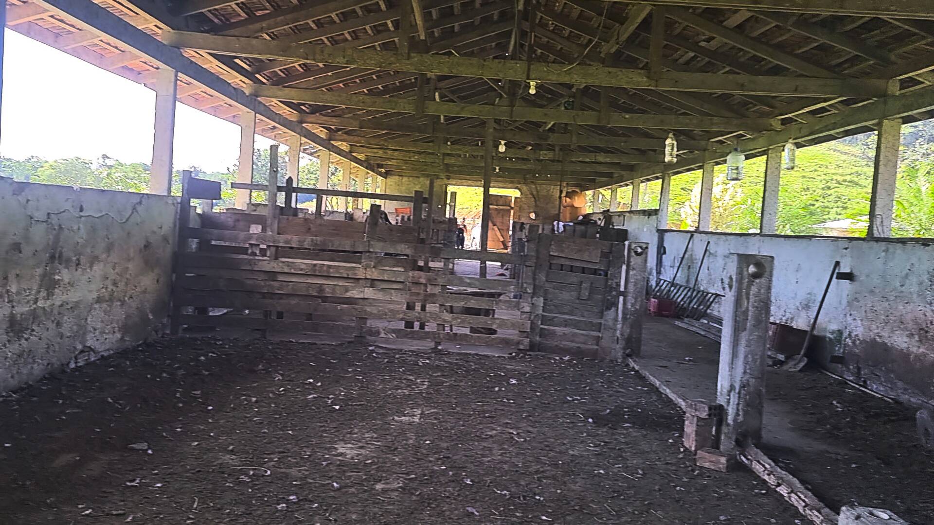 Chácara à venda com 3 quartos, 24500m² - Foto 62