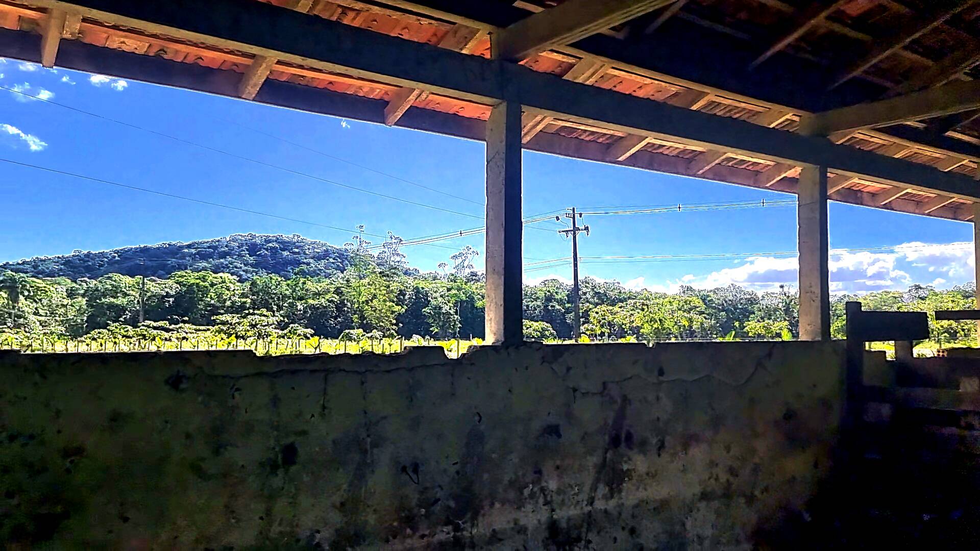 Chácara à venda com 3 quartos, 24500m² - Foto 65