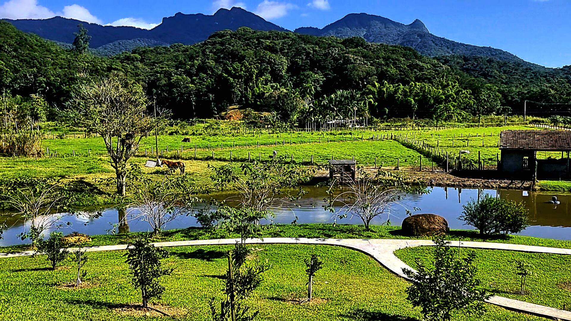 Chácara à venda com 3 quartos, 24500m² - Foto 56