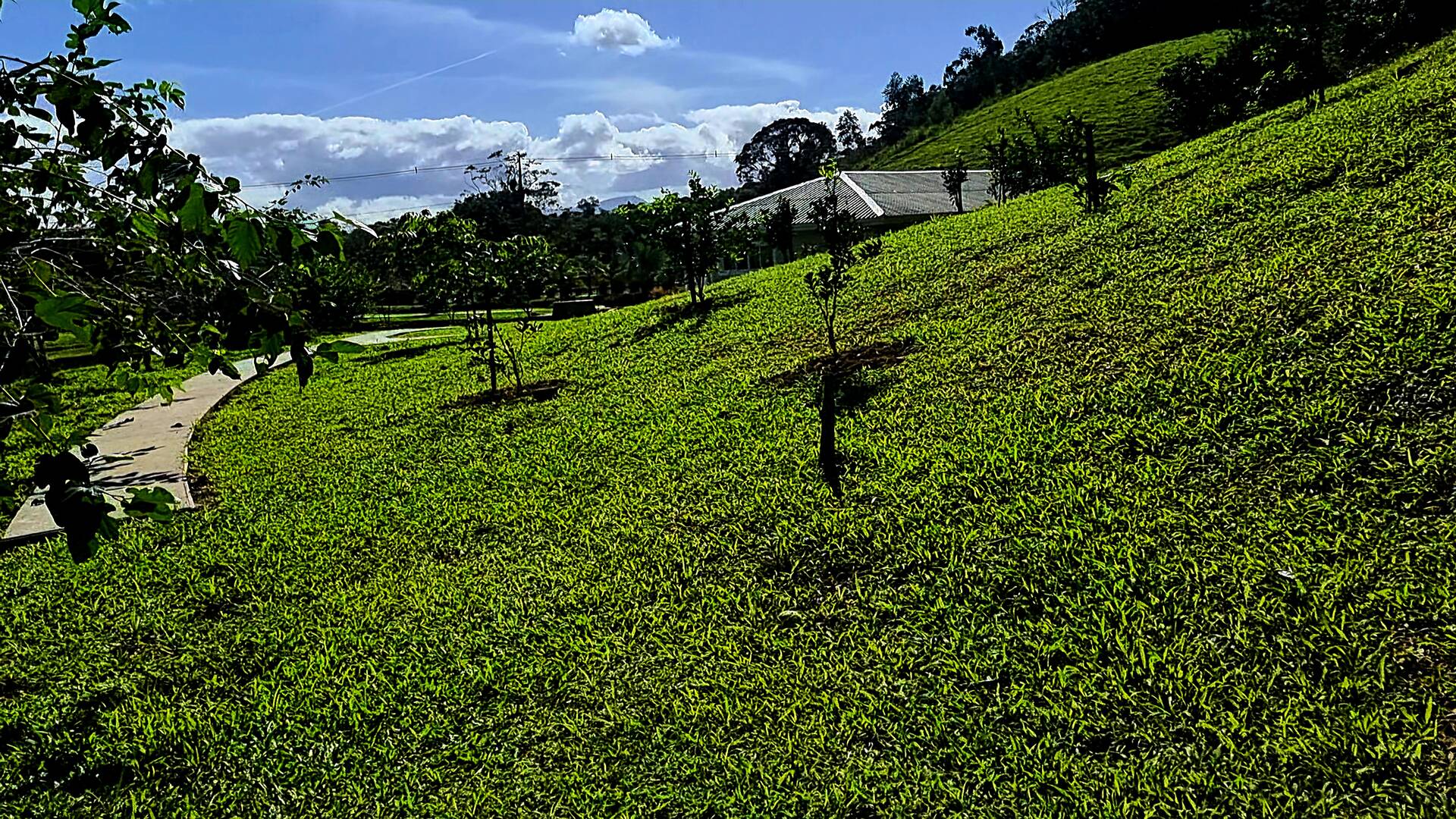 Chácara à venda com 3 quartos, 24500m² - Foto 57