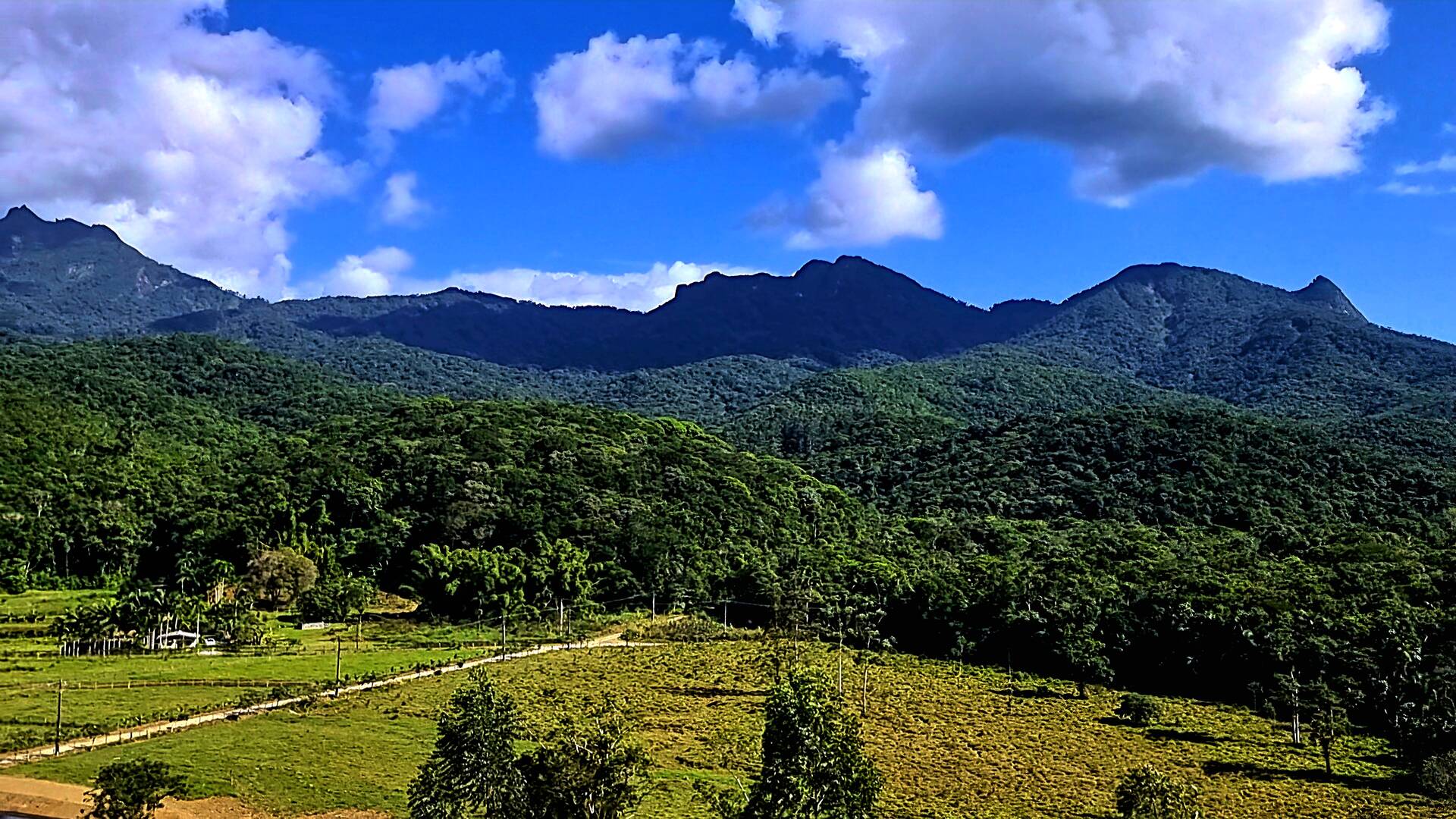 Chácara à venda com 3 quartos, 24500m² - Foto 60