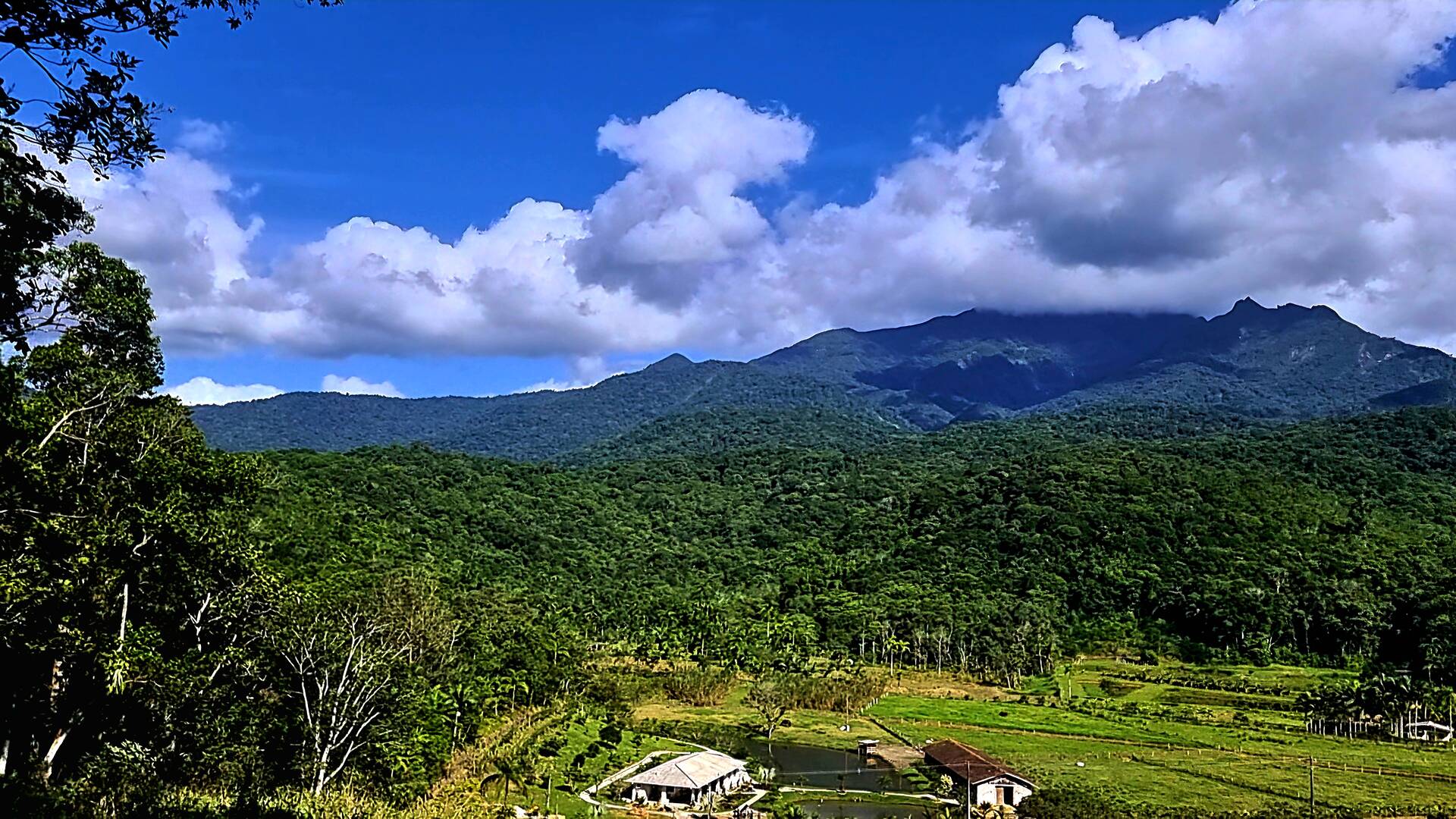 Chácara à venda com 3 quartos, 24500m² - Foto 59