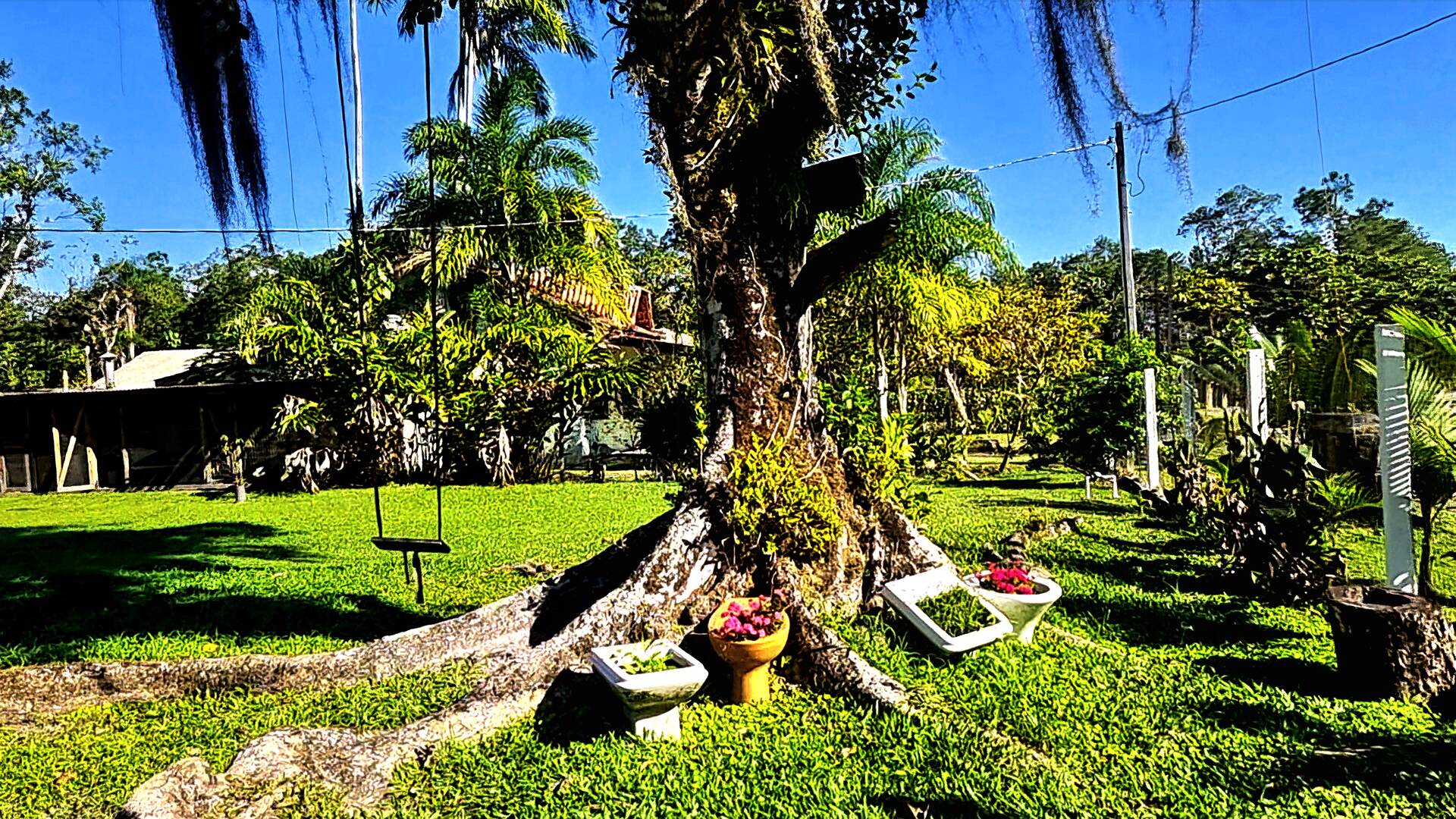 Chácara à venda com 3 quartos, 2500m² - Foto 3