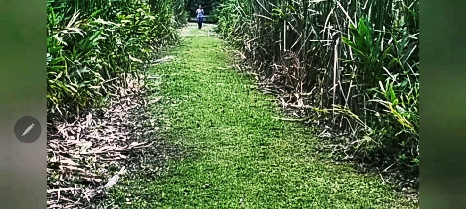 Terreno, 486 m² - Foto 4