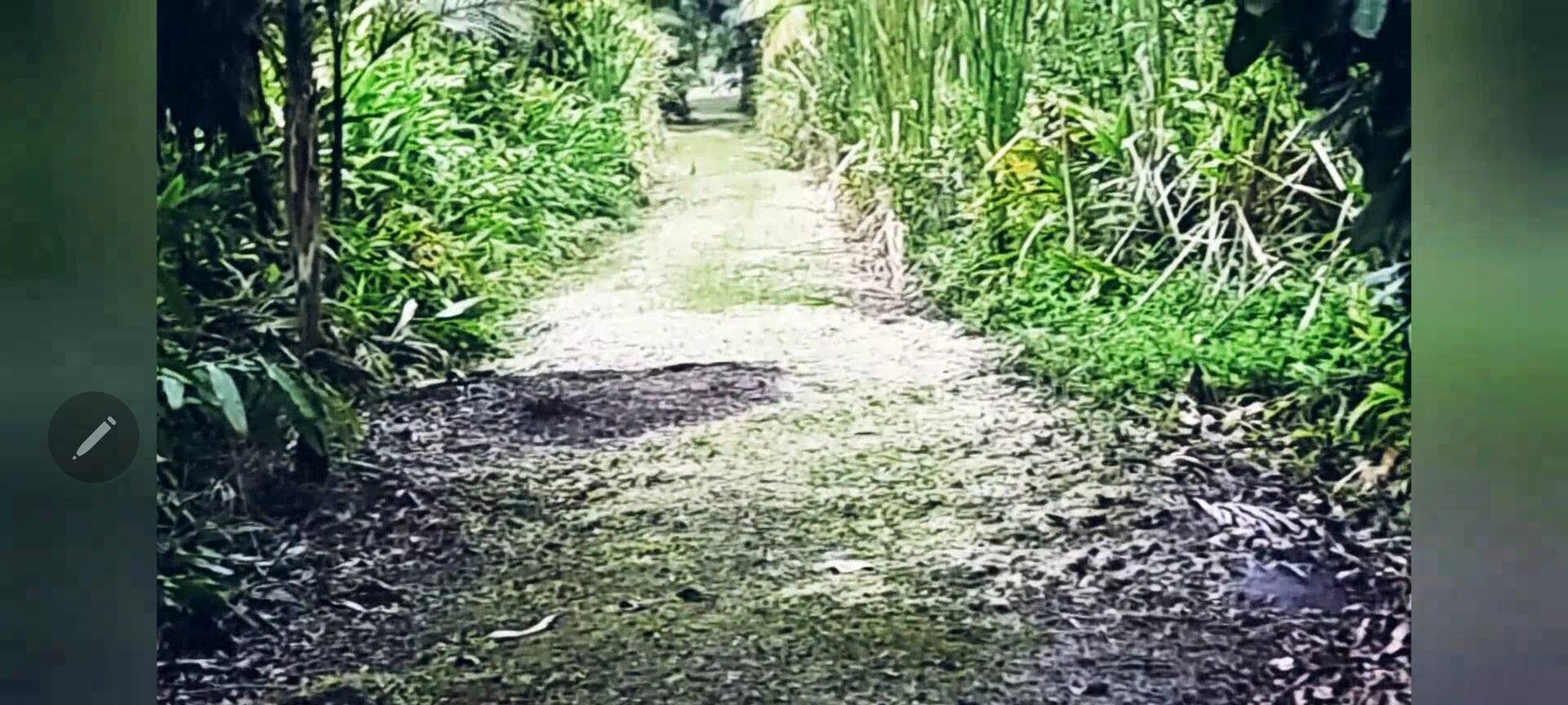 Terreno, 486 m² - Foto 5