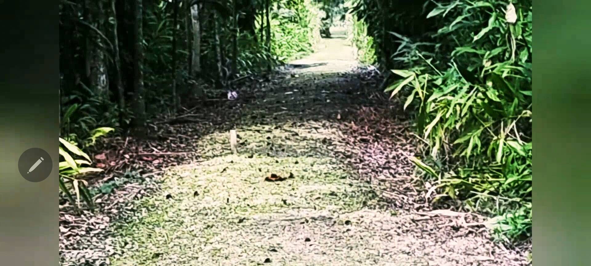 Terreno, 486 m² - Foto 3