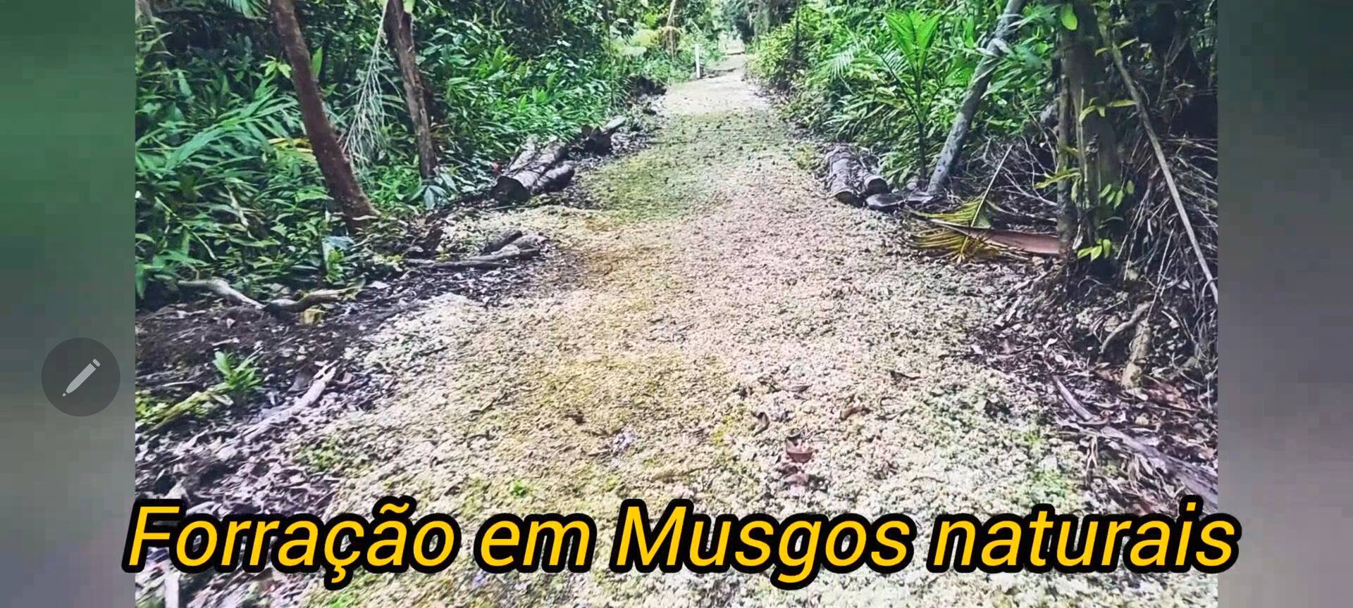 Terreno, 486 m² - Foto 6