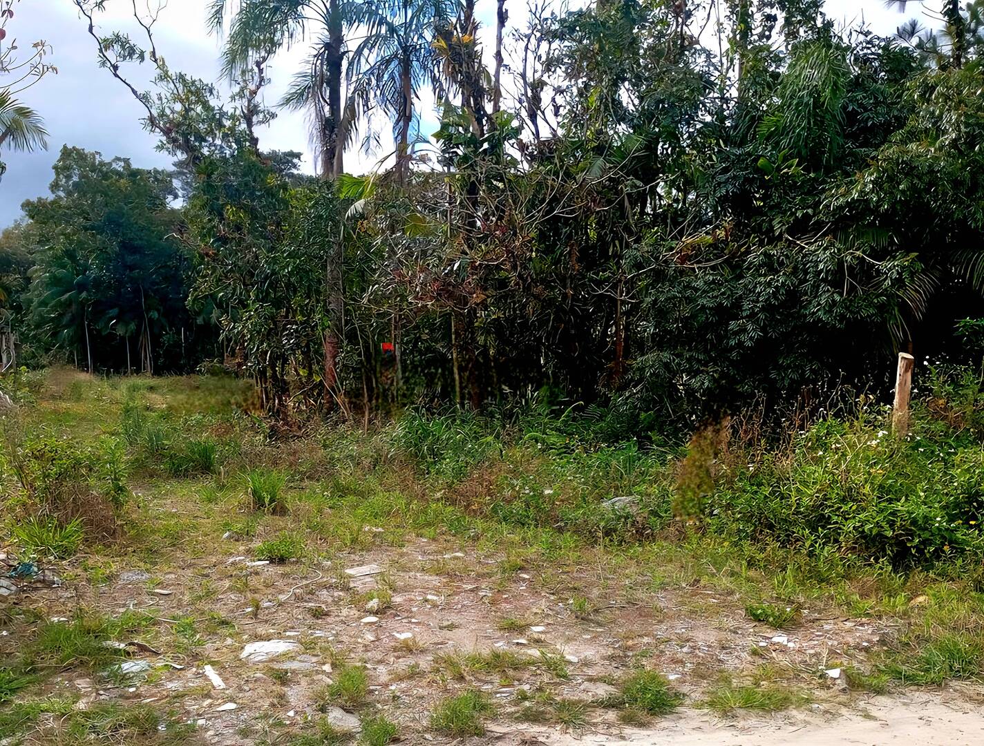 Terreno, 8500 m² - Foto 5