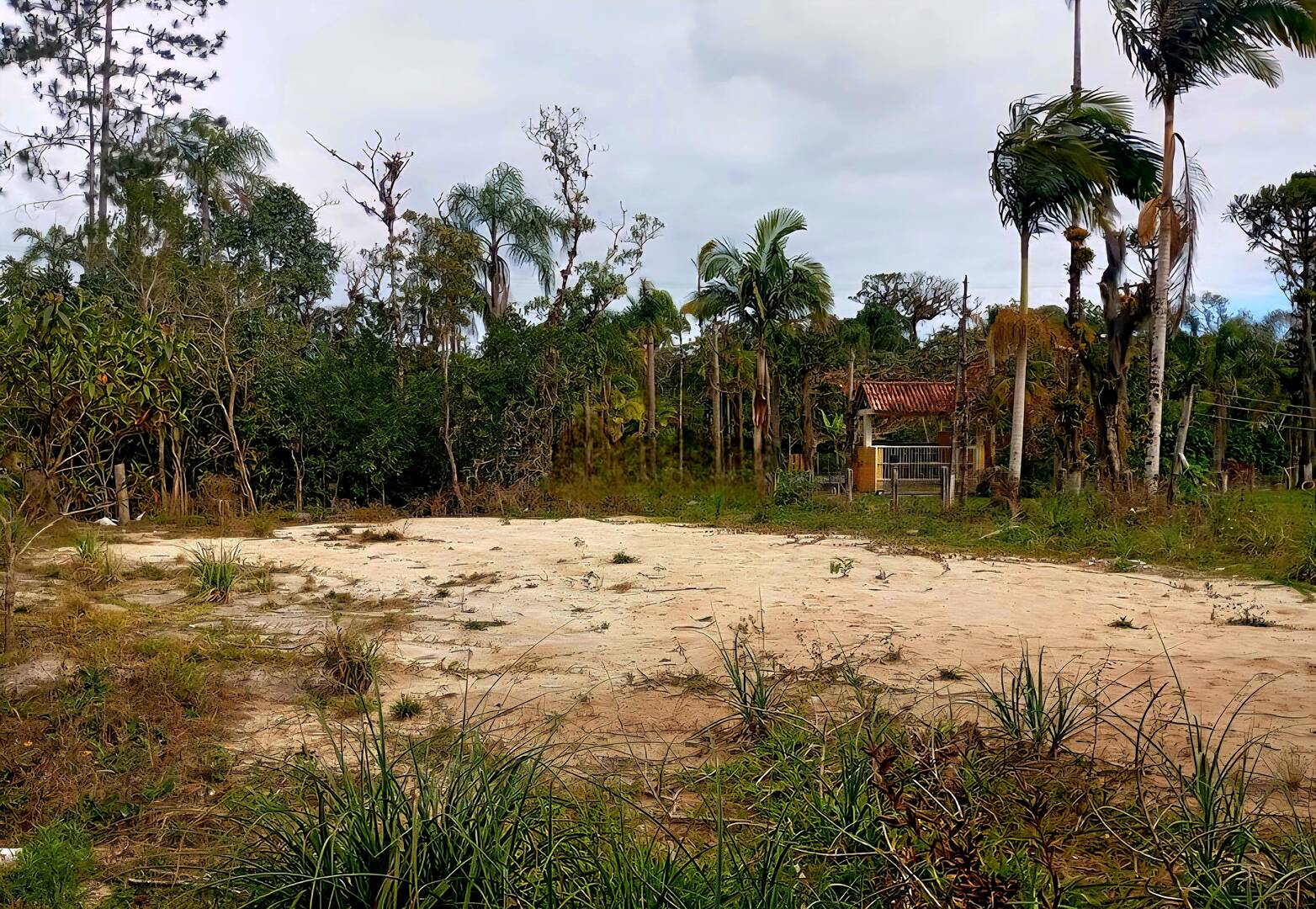 Terreno, 8500 m² - Foto 6