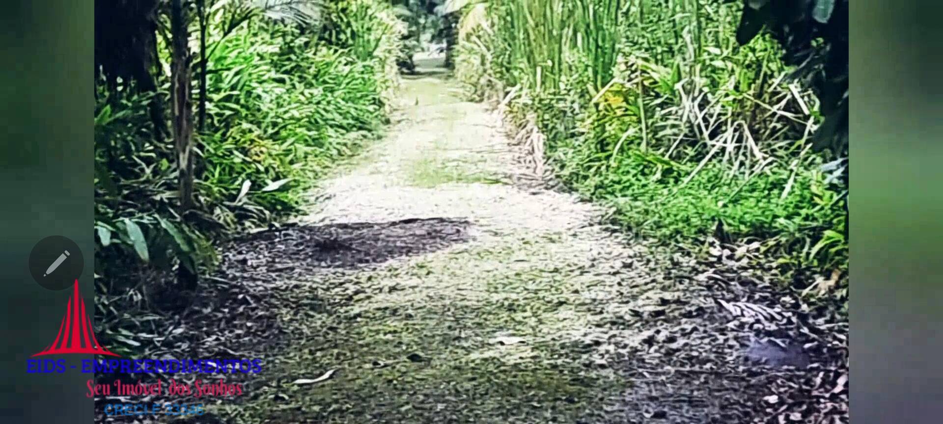 Chácara, 4 quartos, 1330 m² - Foto 2