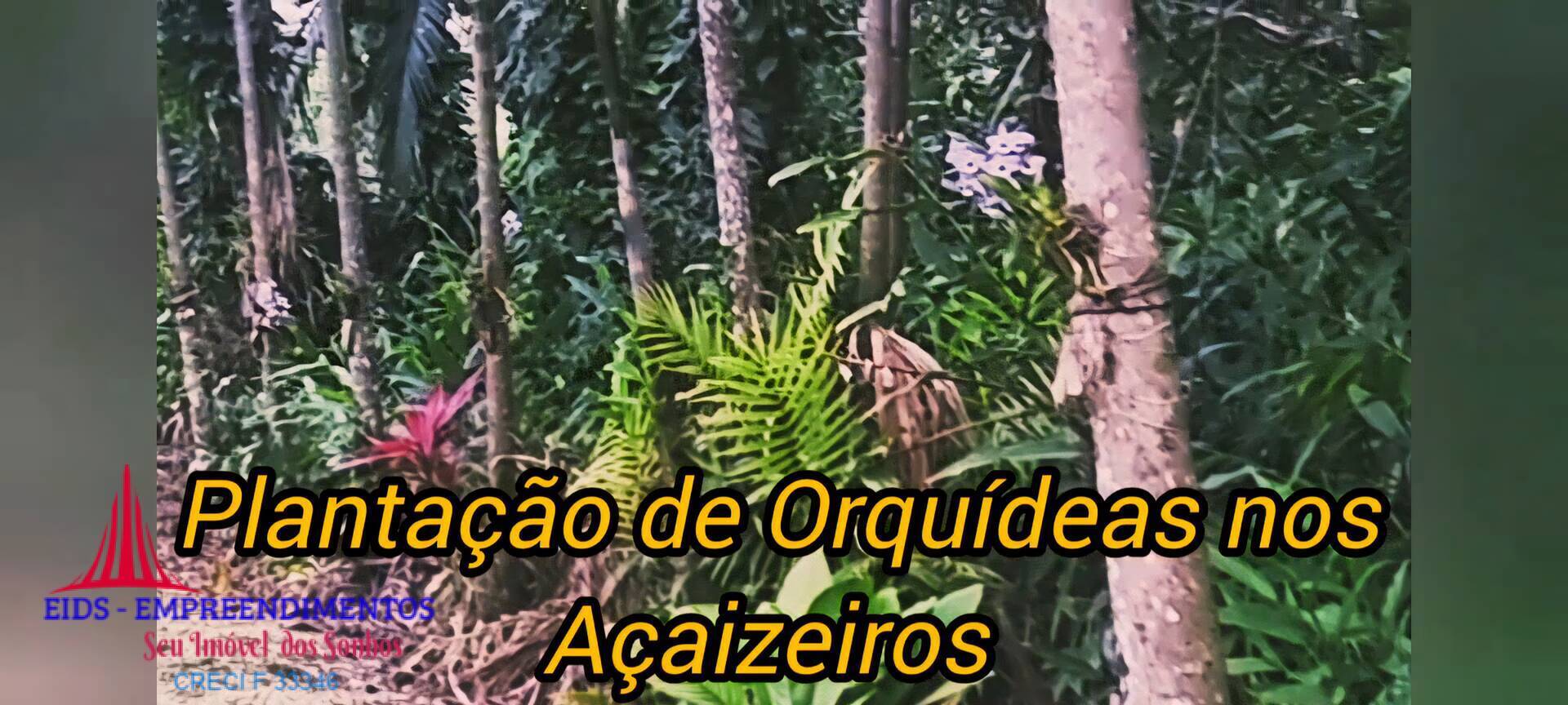 Chácara, 4 quartos, 1330 m² - Foto 5