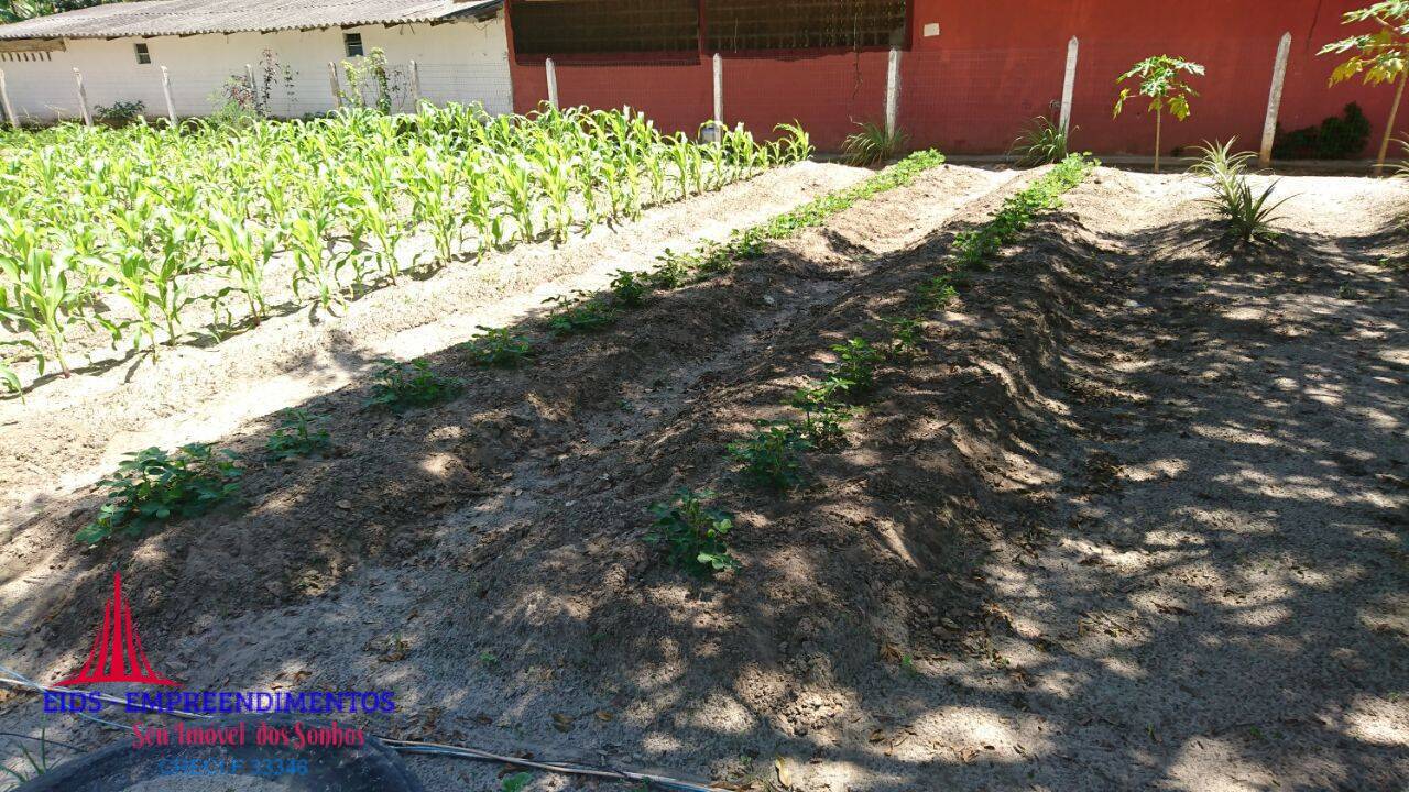 Casa, 4 quartos, 2695 m² - Foto 41