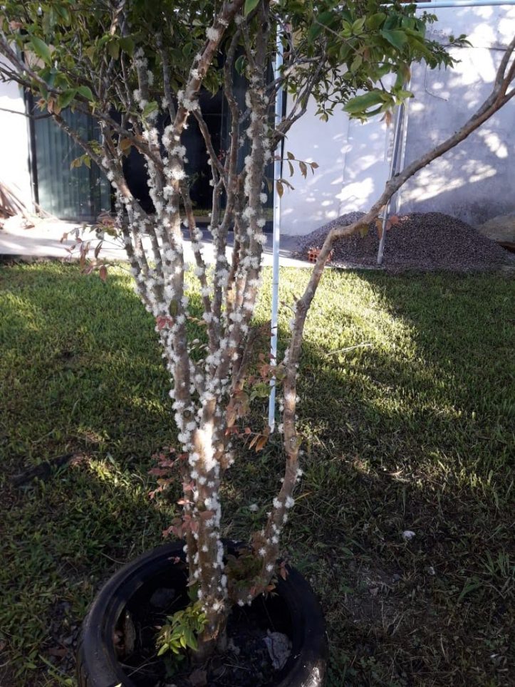 Casa, 390 m² - Foto 32