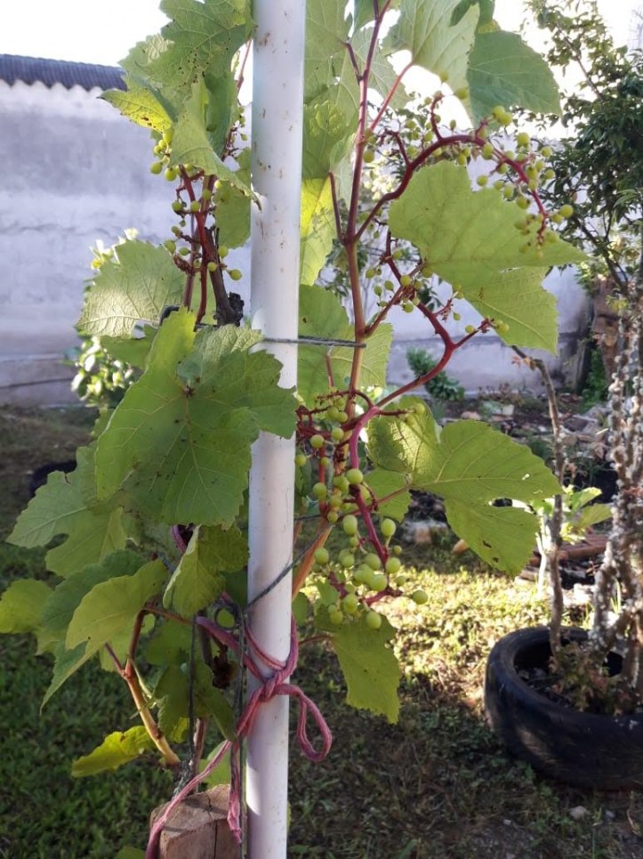 Casa, 390 m² - Foto 33