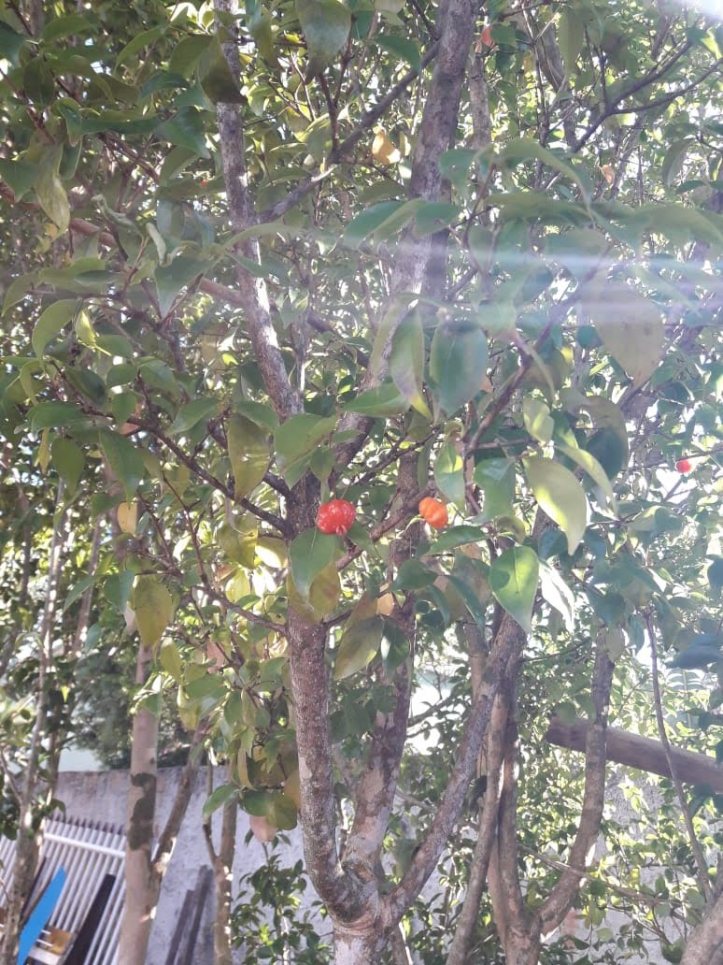 Casa, 390 m² - Foto 35