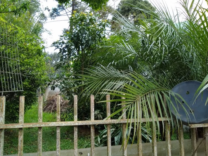 Casa, 3 quartos, 320 m² - Foto 13