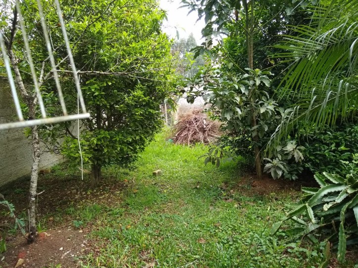 Casa, 3 quartos, 320 m² - Foto 14