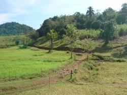 Venda em Rio Sagrado - Morretes