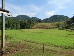 Sítio para Venda em Morretes - 4