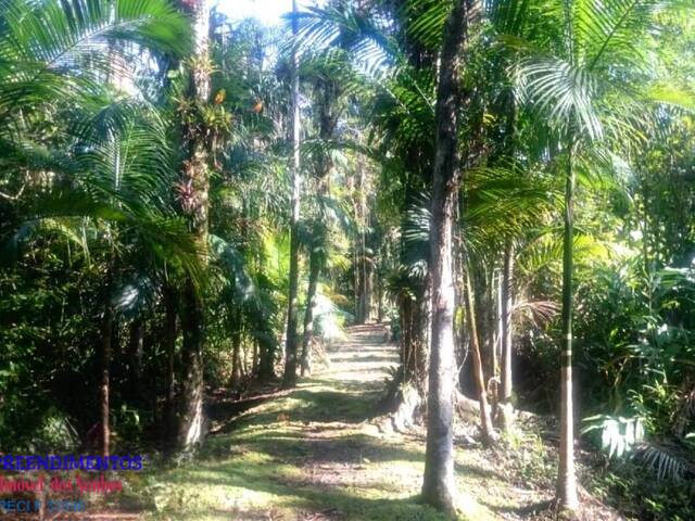 #121 - Chácara para Venda em Pontal do Paraná - PR - 2