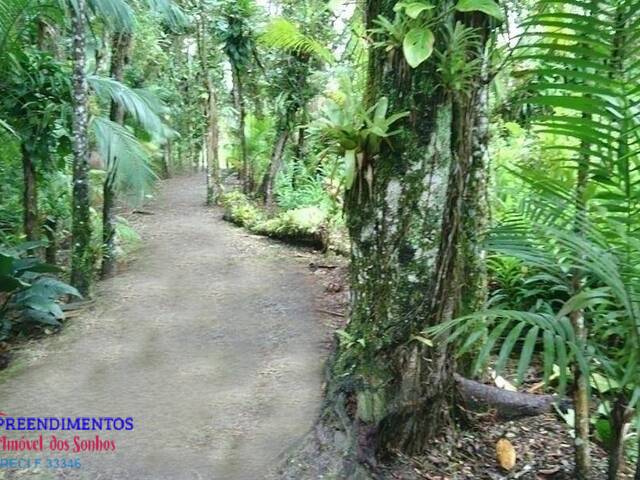 Venda em Guaraguaçu - Pontal do Paraná