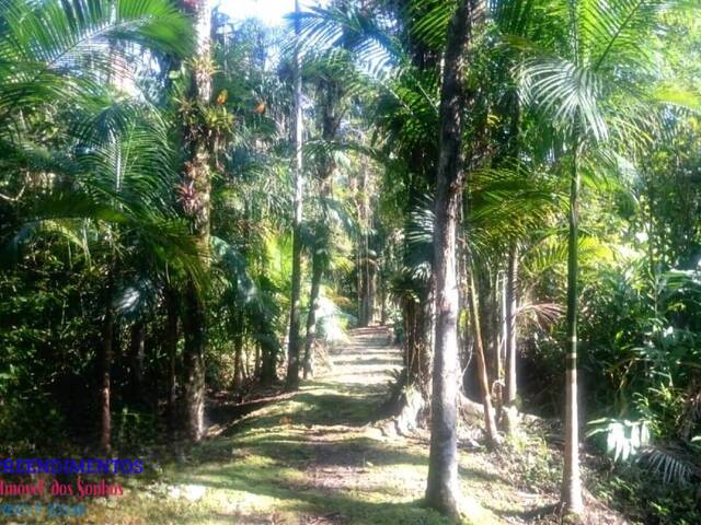 #122 - Chácara para Venda em Pontal do Paraná - PR - 3