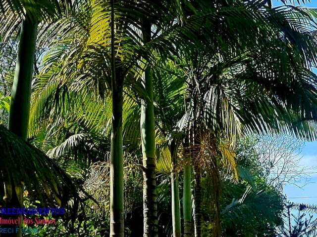 Venda em Guaraguaçu - Pontal do Paraná