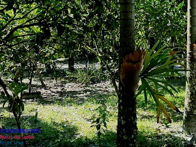 #131 - Chácara para Venda em Pontal do Paraná - PR
