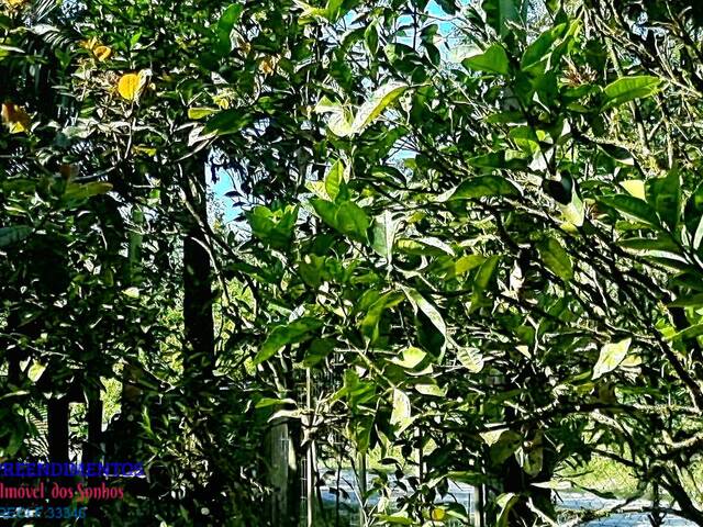 Chácara para Venda em Pontal do Paraná - 5