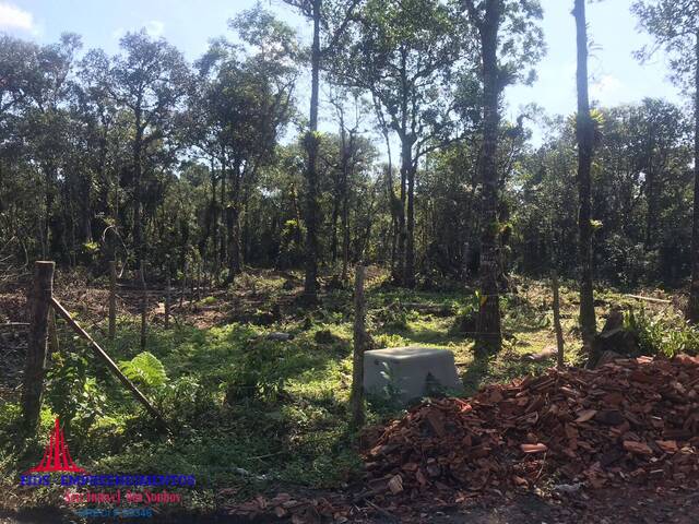 #137 - Chácara para Venda em Pontal do Paraná - PR - 3