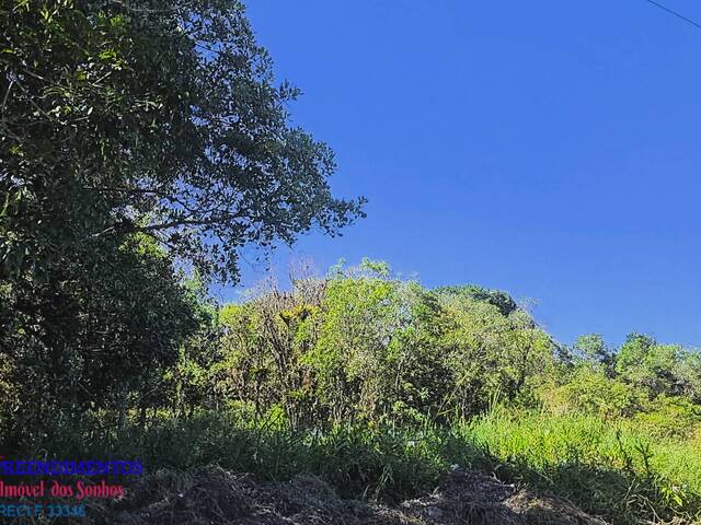 #141 - Chácara para Venda em Pontal do Paraná - PR - 2