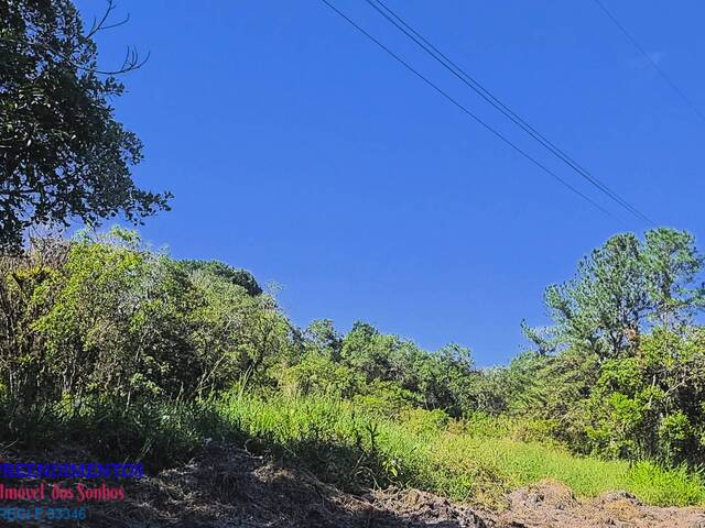 Chácara para Venda em Pontal do Paraná - 4