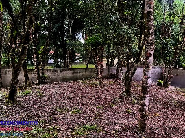 Área para Venda em Pontal do Paraná - 4