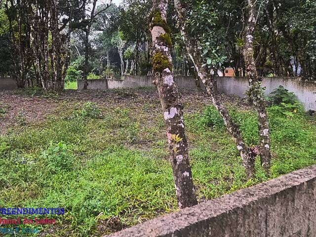 Área para Venda em Pontal do Paraná - 5