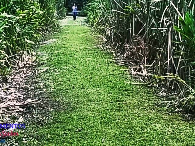 Chácara para Venda em Pontal do Paraná - 4