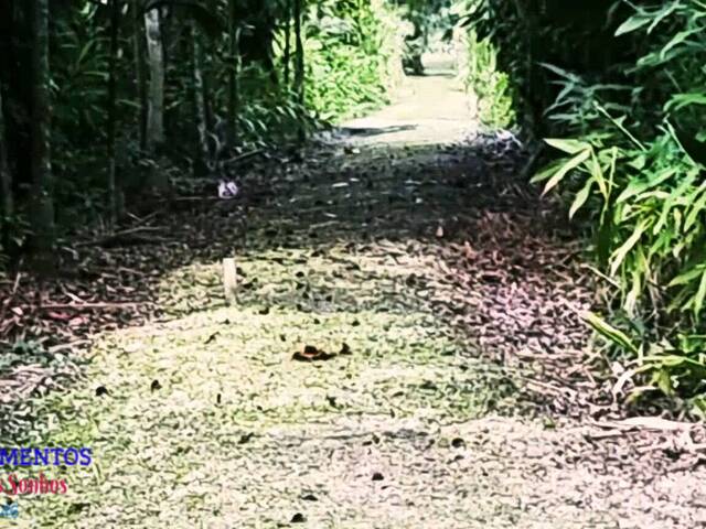 #159 - Chácara para Venda em Pontal do Paraná - PR - 3