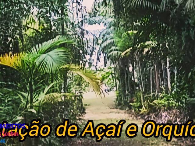 #163 - Chácara para Venda em Pontal do Paraná - PR - 1