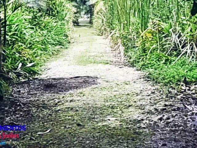 #167 - Chácara para Venda em Pontal do Paraná - PR