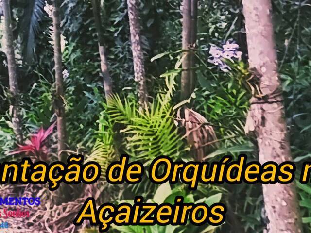 Chácara para Venda em Pontal do Paraná - 5