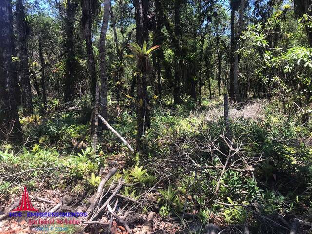 #168 - Área para Venda em Pontal do Paraná - PR - 2